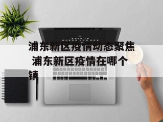 浦东新区疫情动态聚焦 浦东新区疫情在哪个镇
