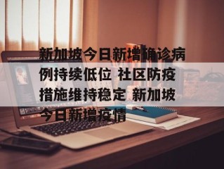 新加坡今日新增确诊病例持续低位 社区防疫措施维持稳定 新加坡今日新增疫情