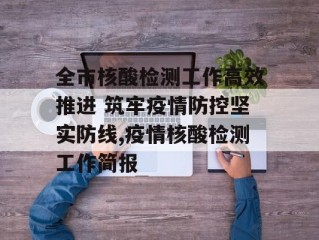 全市核酸检测工作高效推进 筑牢疫情防控坚实防线,疫情核酸检测工作简报